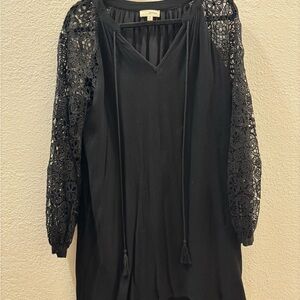 Black Lace Sleeve Dress